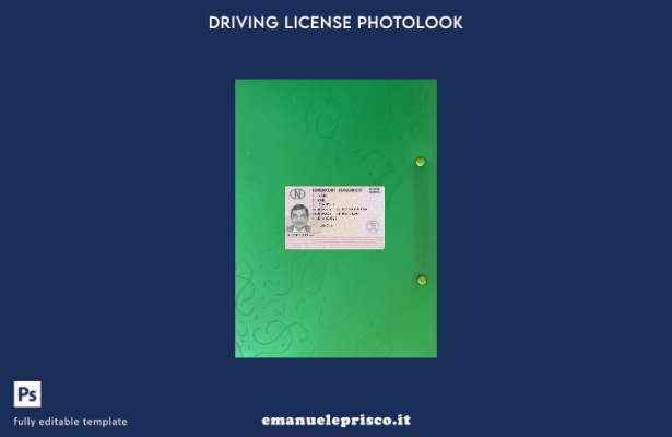 stile verificato modello anteriore photolook presente patente di guida norvegese